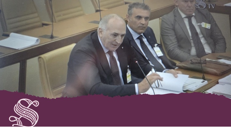 Sicurezza e prevenzione del disagio giovanile DDL -S- 1990 1^ Comm.ne Affari Costituzionali del Senato della Repubblica - Ufficio di Presidenza
