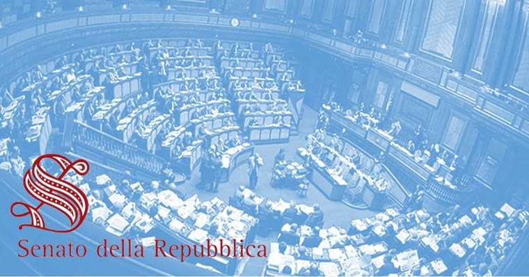 Audizione I Commissione Senato - Ddl n. 1990 (Disposizioni in materia di Sicurezza e Prevenzione del disagio giovanile, ordinamento, organizzazione e funzionamento delle Forze di Polizia e del Ministero dell’interno)